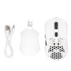 Wireless Mouse 2.4G Or BT5.1 Adjustable DPI Hollowed Out RGB
