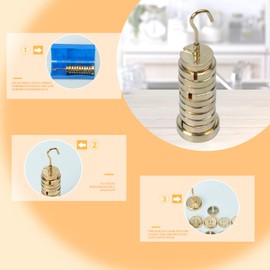 Slotted Mass Set, Slotted Weight Set, Labs Slotted Masses Physics Experiment Teaching Slotted Masses with Hanger, Brass Slotted Set, 13 Weights with Hanger and Case(Total 250g)