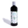 Shampoo Anti Caspa con Ingredientes Naturales La Receta