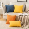 MIULEE Pack of 2 Super Soft Throw Pillow Covers Striped