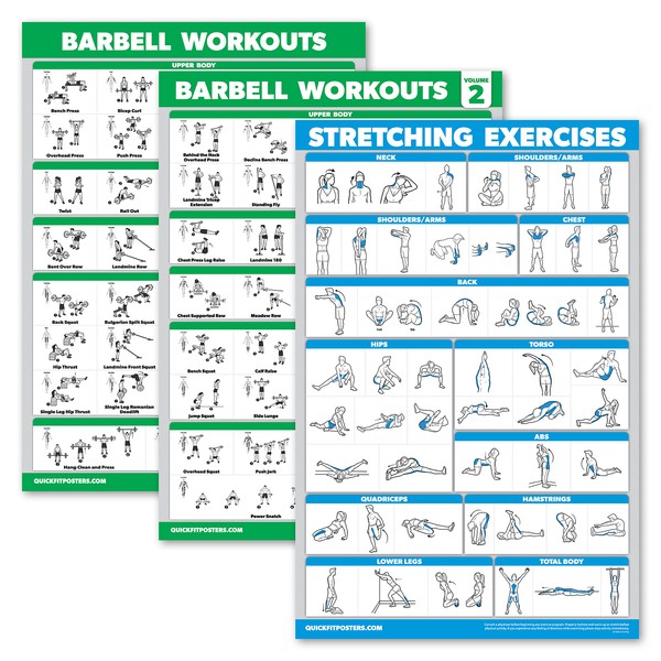 Palace Learning 3 Pack - Barbell Workout Posters Volume 1