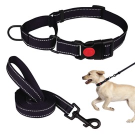 Martingale Dog Collar and Leash Set Martingale Collars for Dogs Reflective Martingale Collar for Small Medium Large Dogs(Black&M)