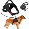 Arnés para Perro Ajustable con Correa de 1.5m Incluida, Negro,
