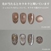 emigoro Magnetic Nails, Glitter, Flash Nails, Sparkling, Magnetic Gel, Color