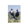 Maxwell & Williams Birds of Australia KC 10yr Anniversary Tea