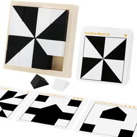 Hidden Children's Blocks Black and White 3D Geometric Block Puzzles for Early Learning Ages 3 and Up, Includes Storage Tray