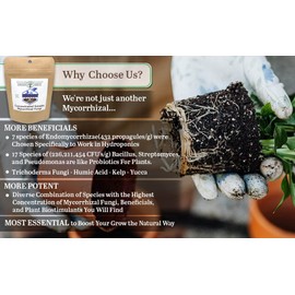 GreenEden EndoBoost Hydro Soluble Mycorrhizal Fungi (7 Species) - Makes 120 Gallons - Mycorrhizae Root Enhancer - Bacteria Inoculant - Hydroponics or Soil