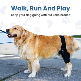 Rocky Rayz Dog Knee Brace for Torn ACL Hind or Front Leg - Luxating Patella, Hip Dysplasia Brace, Osteoarthritis Relief, Dog Leg Braces for Back Leg Support, with Built in Splint.…(Large)