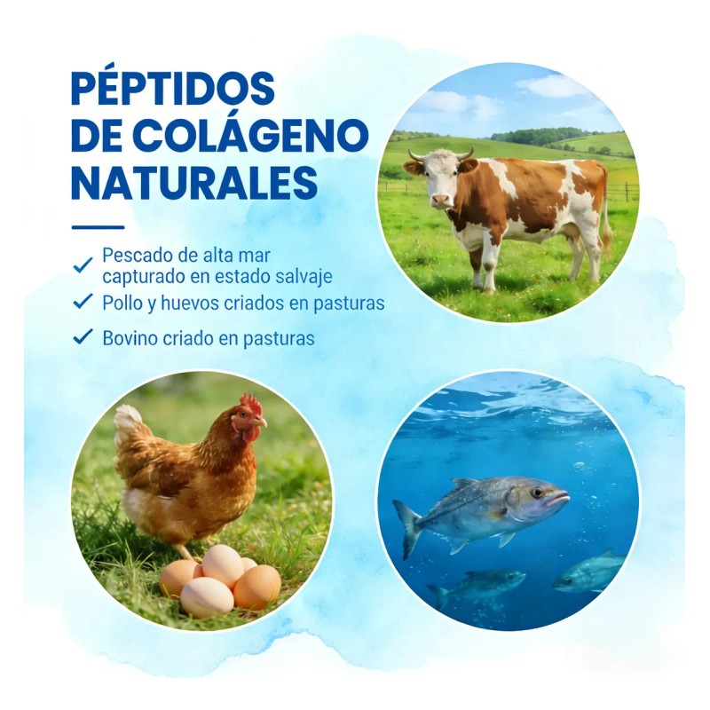 Gwynne Péptidos Colágeno Múltiples 1800 Complejo Cápsulas Tipo Iii Una