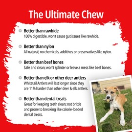 CHEW CHIEF Deer Antler Dogs Large Breeds - Premium Quality Dog Antlers for Aggressive Chewers - Naturally Shed Dog Chew Antlers - Dog Antler Chews (3 Pack)