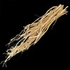 황기/100g/1년근 황기/정선황기/강원도 황기/백숙용황기 황기의 본고장 정선 Astragalus/100g/1-Year-Old Astragalus/Jeongseon Astragalus/Gangwon-do Astragalus/For