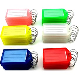 BJAINGEXK 30 Plastic Keychain Tags, Key Tags with Ring and tag Window (6 Colors)