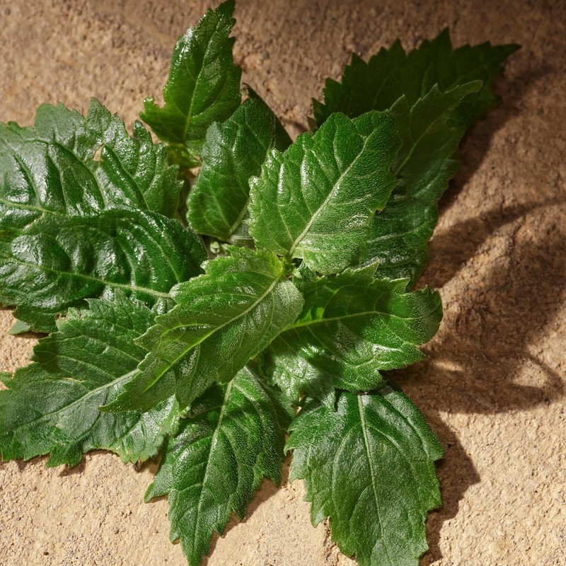 Dolce&Gabbana Devotion, Eau De Parfum, For Men, 100ml / 3.3