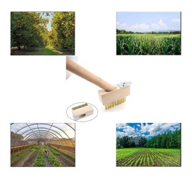 TopHomer Patio Weed Wire Brush Broom for Decking, Block Paving, Slab Moss & Weed Removal, Ideal for Clean Joints, Paths, Garden Walls, Cobblestones, etc.