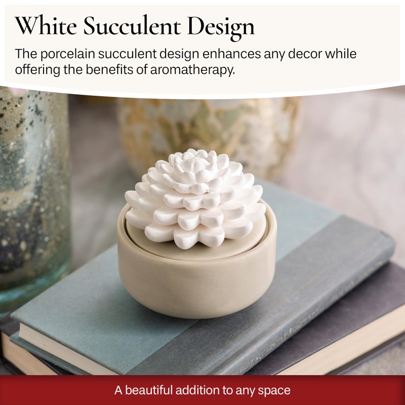 Airomé White Succulent, Porcelain Passive Essential Oil Diffuser (with 15ml