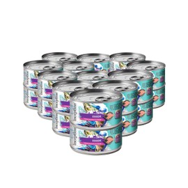Inception® Wet Cat Food Fish Recipe – Complete and Balanced Cat Food – Legume Free Meat First Wet Cat Food – 12/13oz case