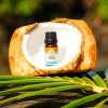 Gurunanda Aceite Menta Natural Aromaterapia Gurunanda 15ml *importado