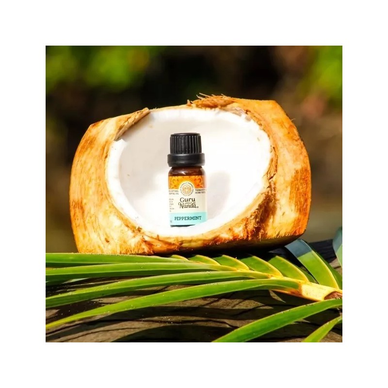 Gurunanda Aceite Menta Natural Aromaterapia Gurunanda 15ml *importado