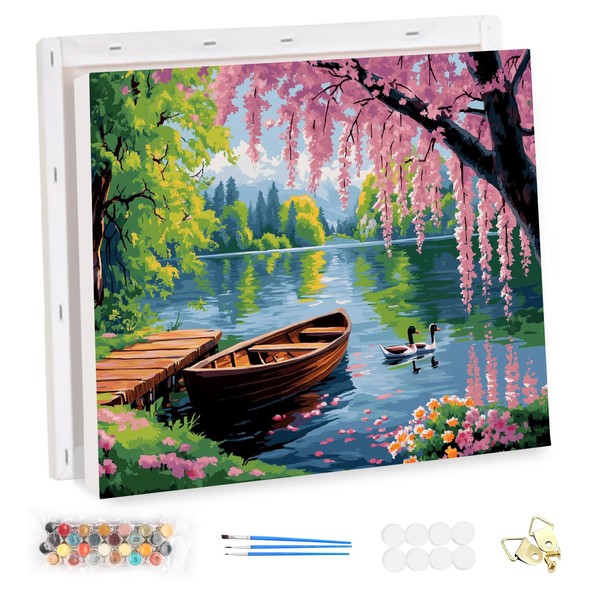 EOBROMD Paint by Numbers Adult Kit with Frame White Swan,