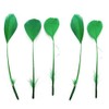 Green Stripped Coque Style Feathers x 5, Fascinators, Weddings -