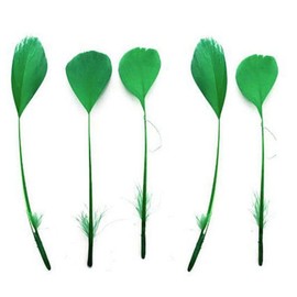 Green Stripped Coque Style Feathers x 5, Fascinators, Weddings - 6 inches Approx by GC