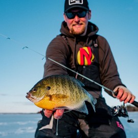 Northland Fishing Tackle Impulse Rigged Tungsten Mini Smelt Jig for Ice Fishing Panfish, Gold, 1/28 Oz #12 Hook, 5/Card