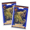 30pcs Dionsaur Party Gift Bags, Dinosaur Birthday Party Supples. Plastic