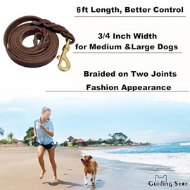 Guiding Star Correa de Cuero para Perros de 1,8 m, Correas para Perros Grandes, Resistente, Suave, Trenzada, Hecha a Mano, de Cuero para Perros Grandes y medianos (1,8 m x 1,9 cm, marrón)