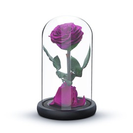 Eternal Forever Rose | Fresh Rose Gift | Single Rose Preserved for 5 Years | Handcrafted | Gifts for Women Birthday unique Unusual | Mother’s Day, Anniversary, Christmas valentine’s day (Purple)