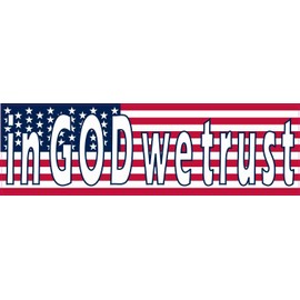 StickerTalk in God We Trust USA Flag Magnet, 10 inches by 3 inches
