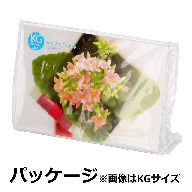 ハクバ HAKUBA フォトフレーム アクリル フレーム 2L サイズ ヨコ 2L 1面