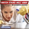 30 SECONDS Pro Mold and Mildew Stain Remover | Scrub