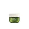 Aveda NEW 어드밴스드 보태니컬 키네틱스 플럼핑 크림 50ml NEW Advanced