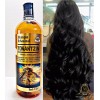 Nolisan Maximum Hair Growth Shampoo, Rosemary, Bergamot, Walnut & Copalquin