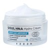 Crema Facial IZEZE Coreana Hydro con Niacinamida y Centella Asiática