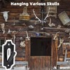 3 Pack European Deer Skull Mount Hanger, Stainless Steel/Wall Mount/Easy