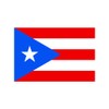 TENNER.LONDON Set of 5 Puerto Rico Flags Iron on Screen
