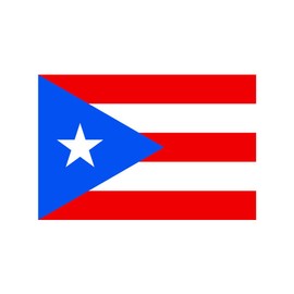 TENNER.LONDON Set of 5 Puerto Rico Flags Iron on Screen Print Fabric Applique Machine Washable Transfer Puerto Rican Flag