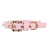 Pet Collar - Cute and Stylish Dog & Cat Collar