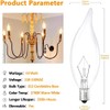 Tiqian 12-Pack Clear B10 CTC E12 Base Decorative Candle Light