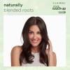Clairol Root Touch-Up by Natural Instincts Permanent Hair Dye, 8
