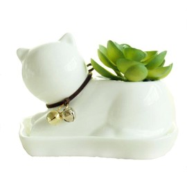 Youfui Cute Succulent Planter Animal Shaped Flower Pot Decor for Home Office Desk (Cat)