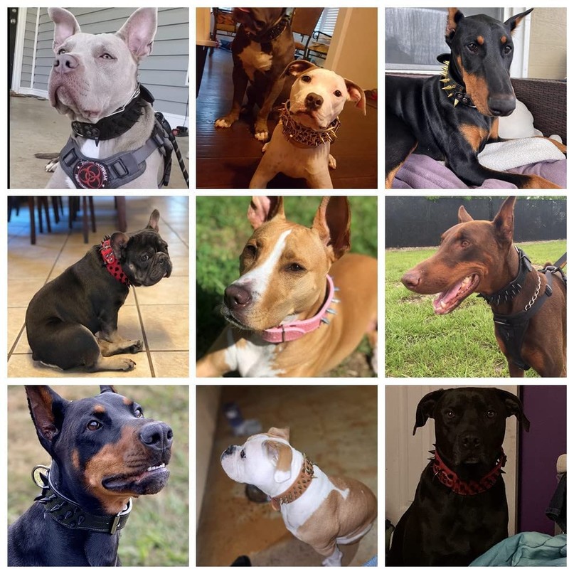 Bbmmayy Leather Dog Collar, Spiked Studded Dog Collar for Medium