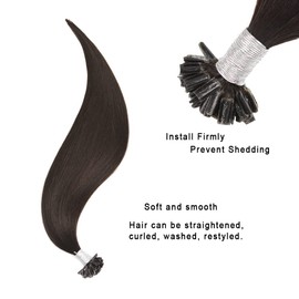 Pre Bonded Hair Extensions 16 Inch Straight Remy Real Human Hair U Nail Tip Keratin Hair Extensions (50g #2 Dark Brown)