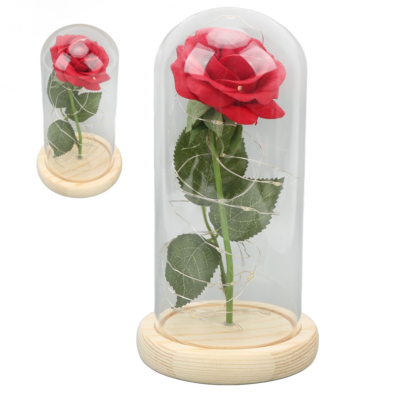 Rose in Glass Dome Lucky Beautiful Symbolism Romantic Enchanted Rose