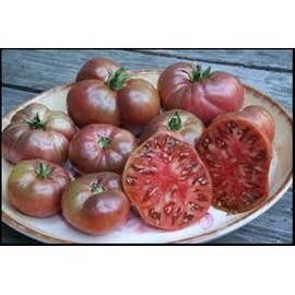 Tomato Cherokee Purple Great Garden Heirloom Vegetable by Seed Kingdom Bulk 1/4 LB Seeds