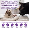 TopSum Cat Calming Diffuser Refills: Pheromone Refill for Cats, Long-Lasting