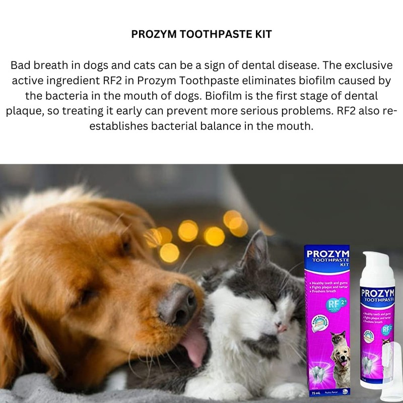Ceva Prozym Toothpaste Kit 65Ml