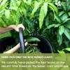 40 Natural Mango Leaf Tea Bags, 100% Pure from Mango