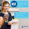 Refresh R-9006 Refrigerator Water Filter Replacement for UFK8001, WF295, WSM-2,